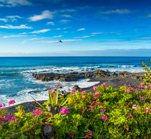 K&uuml;ste von Teneriffa mit Lavagestein, Atlantikwellen und bl&uuml;henden Pflanzen im Vordergrund unter blauem Himmel.