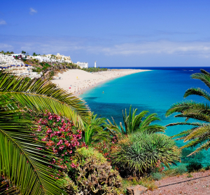 Traumhafter Strand auf Fuerteventura mit türkisblauem Meer, weißem Sand und üppiger Vegetation im Vordergrund bei sonnigem Frühlingswetter.