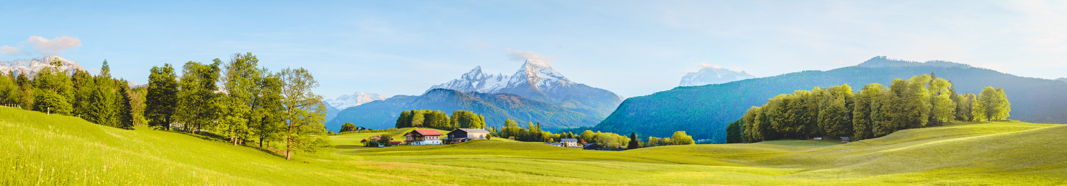 Grüne Wiese mit Bauernhäusern vor schneebedeckten Alpen im Sonnenschein.