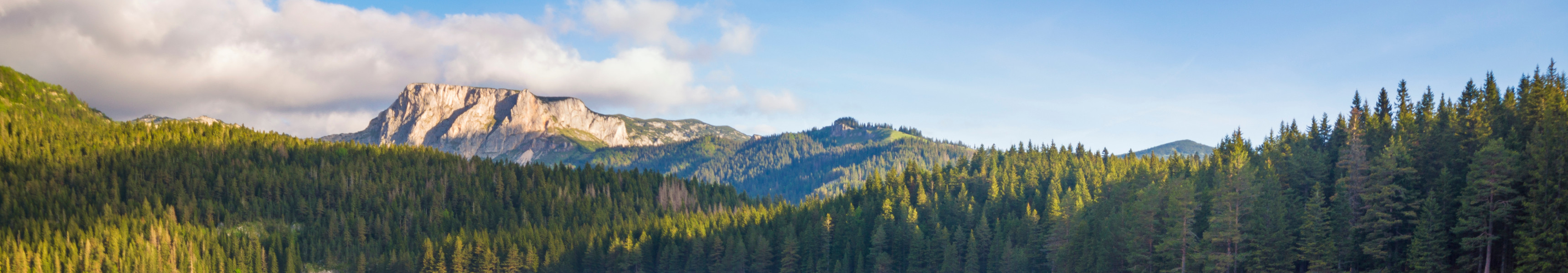 Ruderboote am hölzernen Steg auf dem Schwarzen See (Crno jezero) im Durmitor-Nationalpark, Montenegro, umgeben von dichten Wäldern und Bergen im Hintergrund.