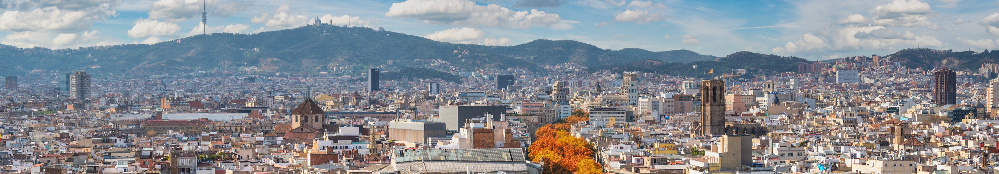 Panoramablick auf Barcelona mit der ber&uuml;hmten Flaniermeile La Rambla.