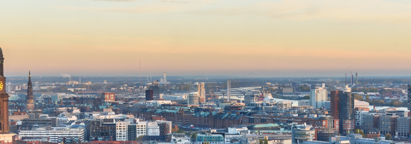 Panoramablick auf Hamburg mit Michelkirche, Elbphilharmonie und herbstlich gefärbtem Park