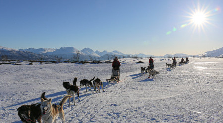 Hundeschlitten-in-Norwegen